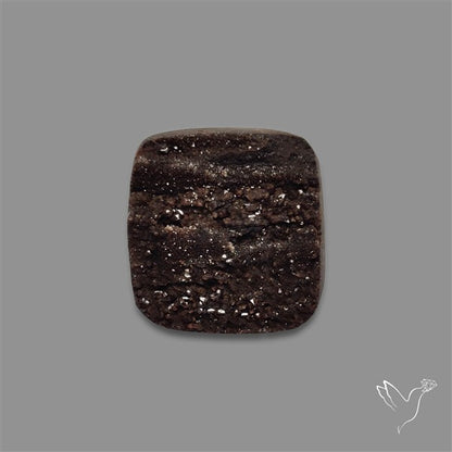 Petrified Wood Druzy