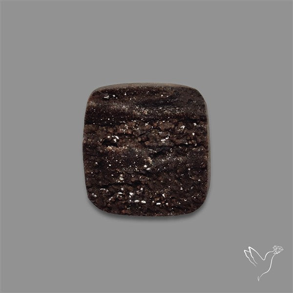 Petrified Wood Druzy