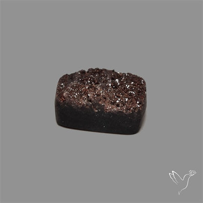 Petrified Wood Druzy
