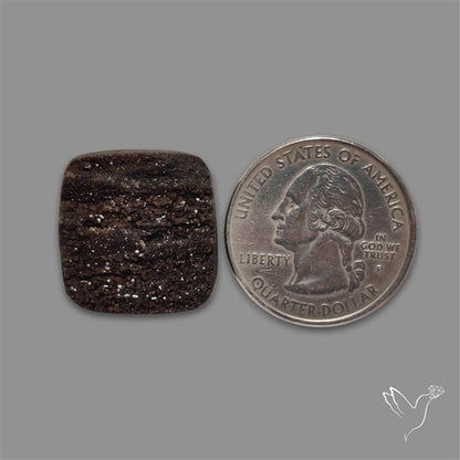 Petrified Wood Druzy