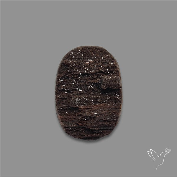 Petrified Wood Druzy