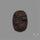 Petrified Wood Druzy
