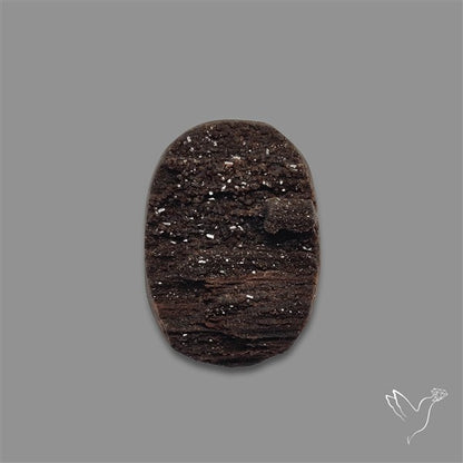 Petrified Wood Druzy