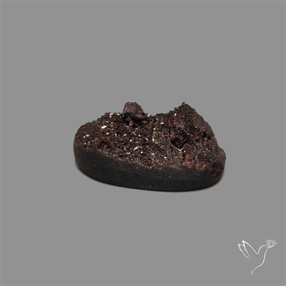 Petrified Wood Druzy