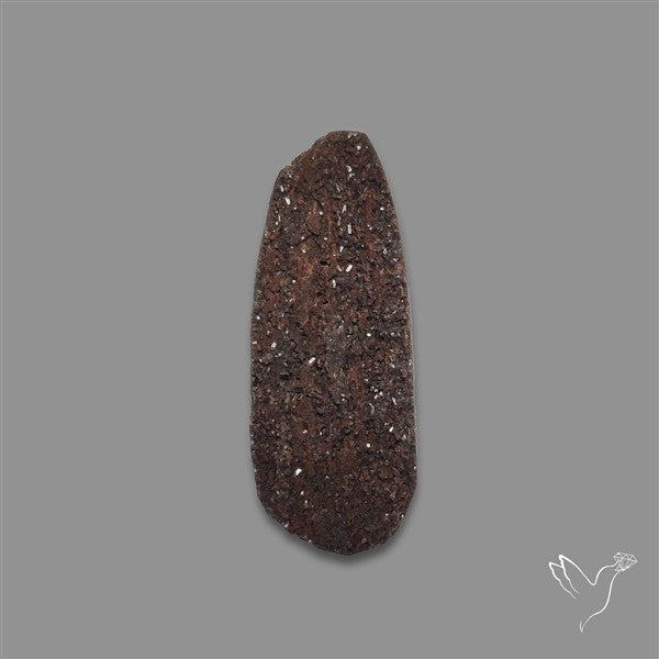 Petrified Wood Druzy
