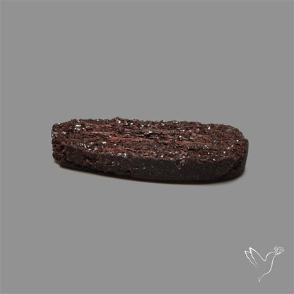 Petrified Wood Druzy