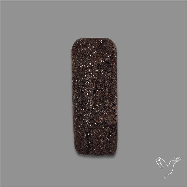 Petrified Wood Druzy
