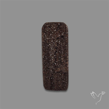 Petrified Wood Druzy