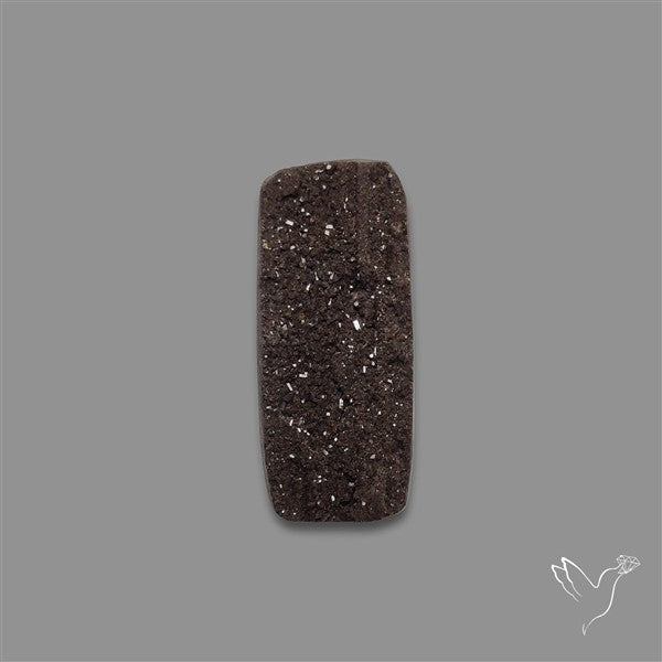 Petrified Wood Druzy