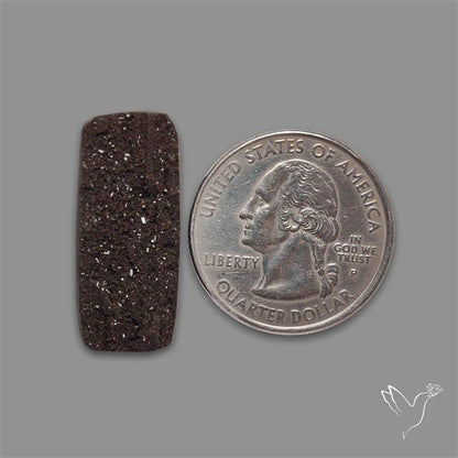 Petrified Wood Druzy