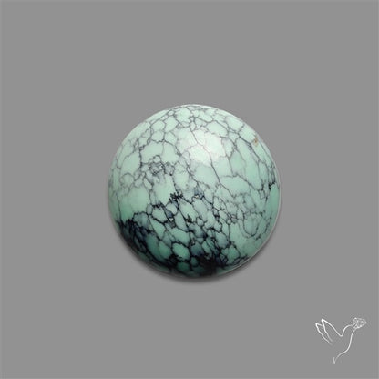 Rare Black Bridge Variscite Cabochon