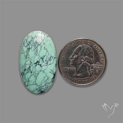 Rare Black Bridge Variscite Cabochon