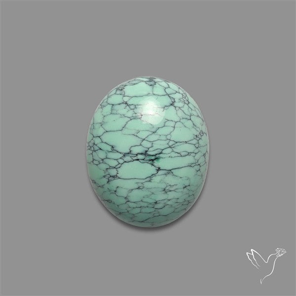 Rare Black Bridge Variscite Cabochon
