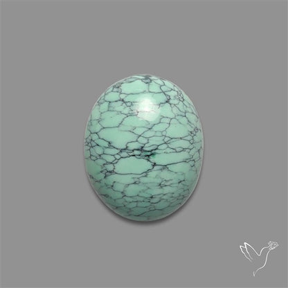 Rare Black Bridge Variscite Cabochon