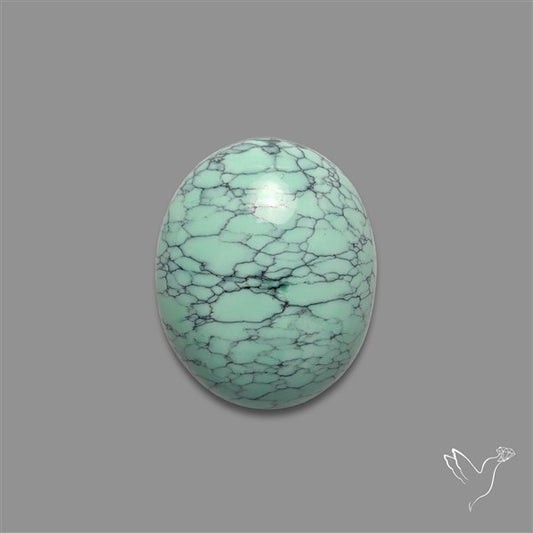 Rare Black Bridge Variscite Cabochon