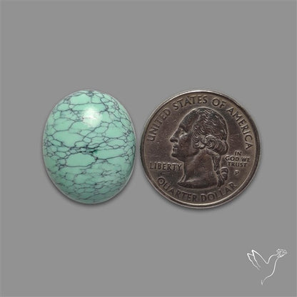 Rare Black Bridge Variscite Cabochon