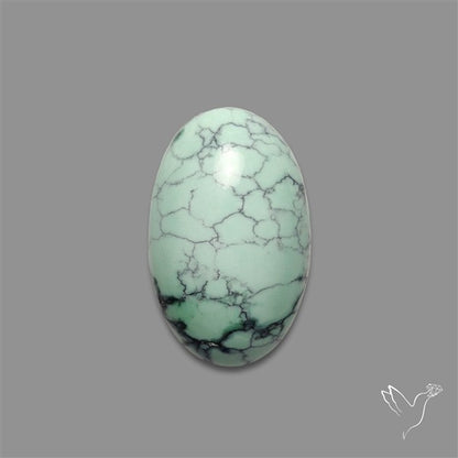 Rare Black Bridge Variscite Cabochon