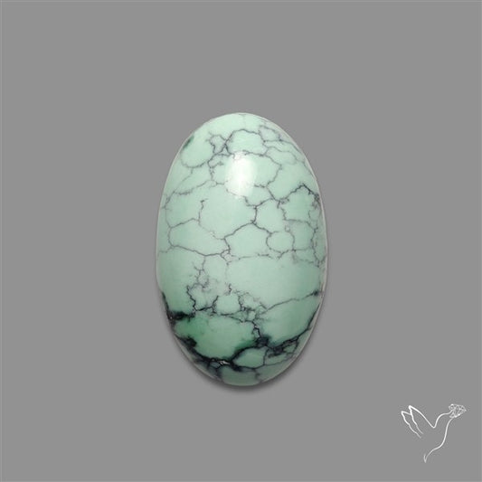 Rare Black Bridge Variscite Cabochon