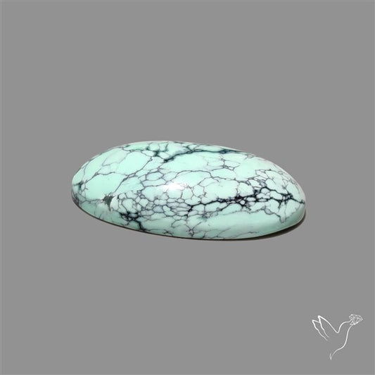 Rare Black Bridge Variscite Cabochon