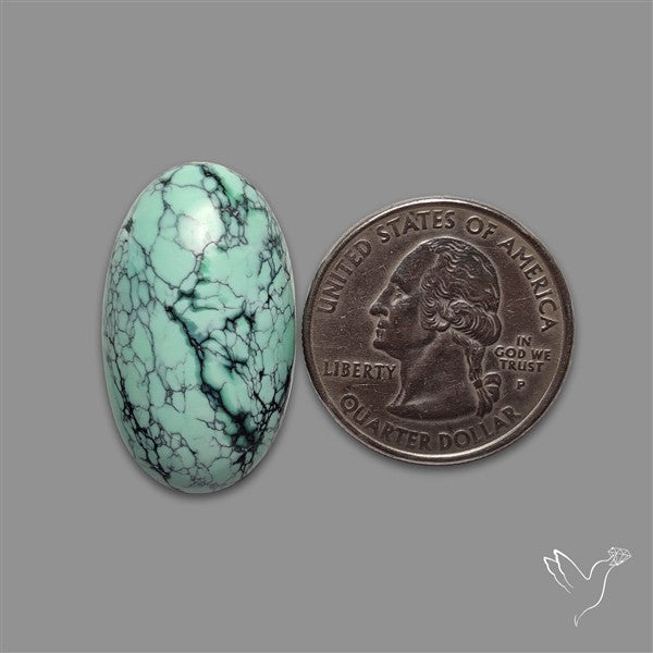 Rare Black Bridge Variscite Cabochon