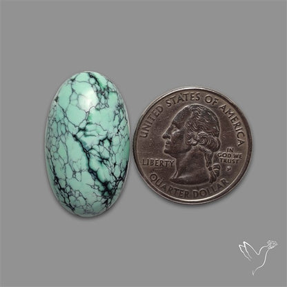 Rare Black Bridge Variscite Cabochon