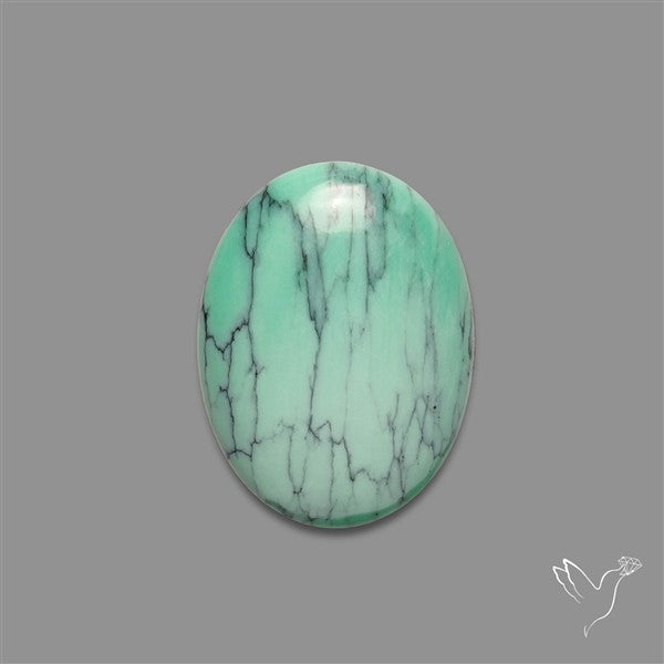 Rare Black Bridge Variscite Cabochon