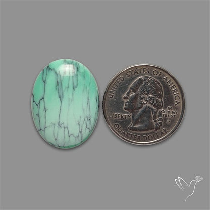 Rare Black Bridge Variscite Cabochon