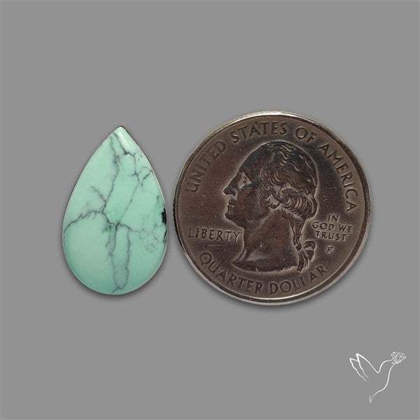 Rare Black Bridge Variscite Cabochon