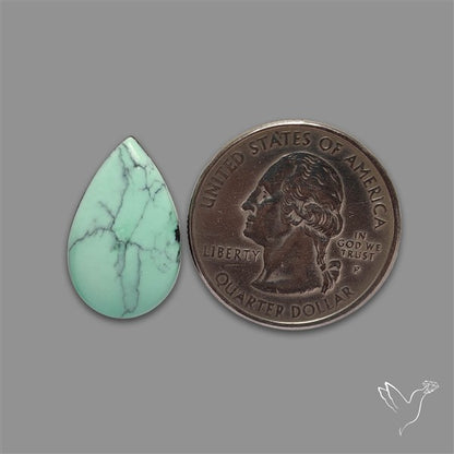 Rare Black Bridge Variscite Cabochon
