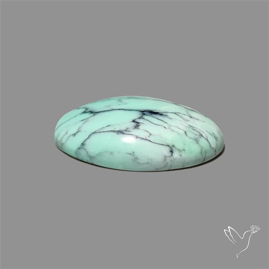 Rare Black Bridge Variscite Cabochon