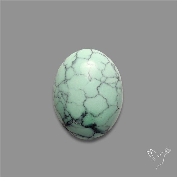 Rare Black Bridge Variscite Cabochon