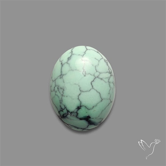 Rare Black Bridge Variscite Cabochon