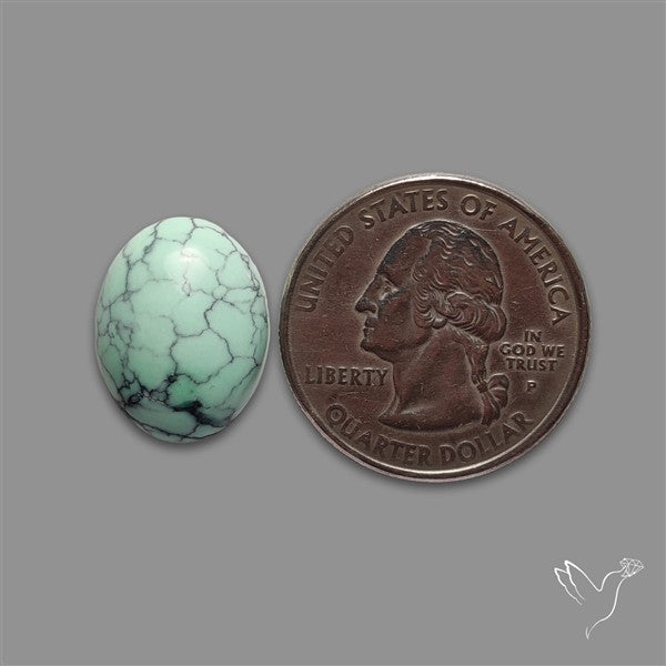 Rare Black Bridge Variscite Cabochon
