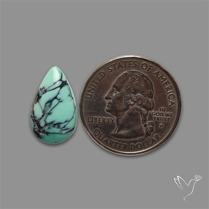 Rare Black Bridge Variscite Cabochon