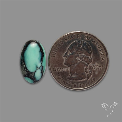 Rare Black Bridge Variscite Cabochon