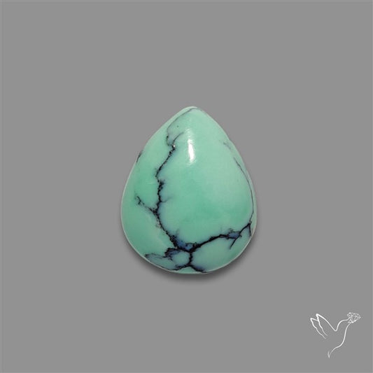 Rare Black Bridge Variscite Cabochon
