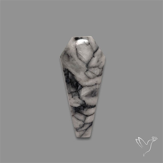 Pinolith Cabochon Coffin Shaped