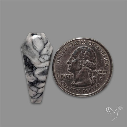 Pinolith Cabochon Coffin Shaped