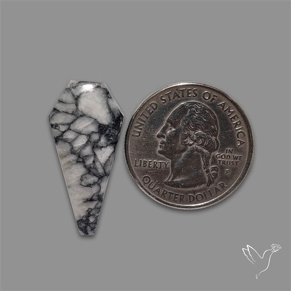 Pinolith Cabochon Coffin Shaped