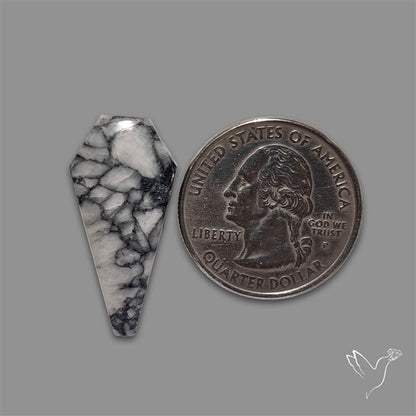 Pinolith Cabochon Coffin Shaped