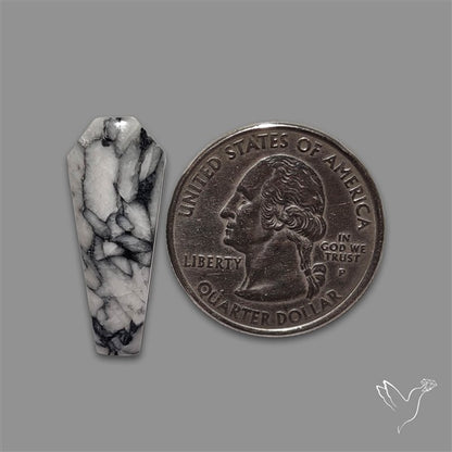 Pinolith Cabochon Coffin Shaped