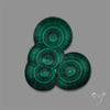 Rare Malachite Stalactite Cluster with Chattoyancy Slice
