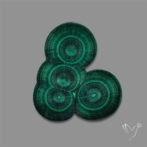 Rare Malachite Stalactite Cluster with Chattoyancy Slice