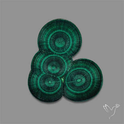 Rare Malachite Stalactite Cluster with Chattoyancy Slice