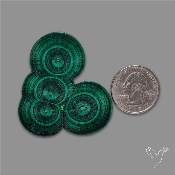 Rare Malachite Stalactite Cluster with Chattoyancy Slice