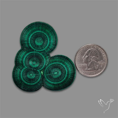 Rare Malachite Stalactite Cluster with Chattoyancy Slice