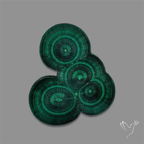 Rare Malachite Stalactite Cluster with Chattoyancy Slice