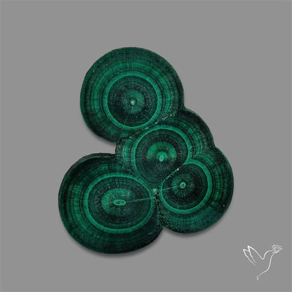 Rare Malachite Stalactite Cluster with Chattoyancy Slice
