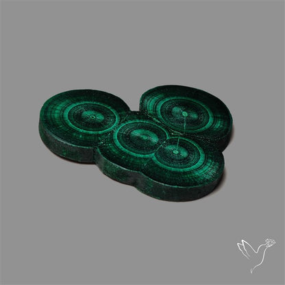 Rare Malachite Stalactite Cluster with Chattoyancy Slice