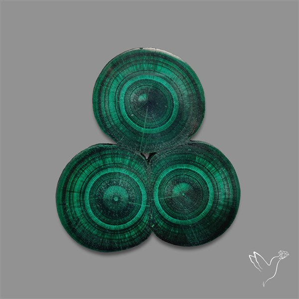 Rare Malachite Stalactite Cluster with Chattoyancy Slice